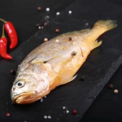 东海三去小黄鱼