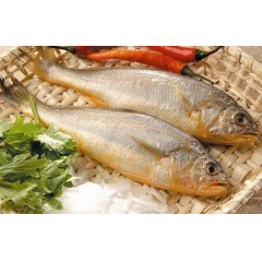 黄花鱼（全规格）